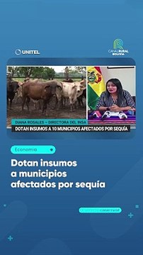 Dotan insumos a municipios afectados por sequía