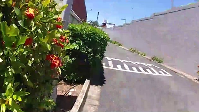 Two men arrested after attempted armed burglary in Ipswich, QLD