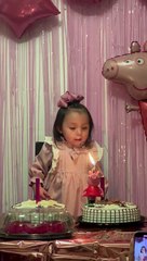 Toddler Tries Her Hardest to Blow Out Birthday Candle