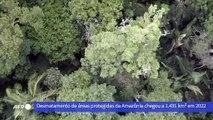 Desmatamento em áreas protegidas da Amazônia caiu 73% em 2023