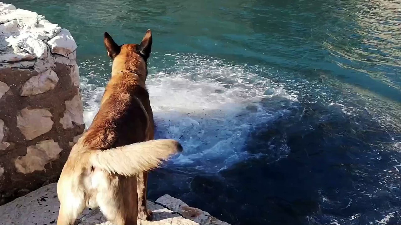#jump