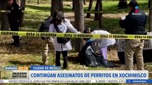 Siguen los asesinatos de perritos en el Bosque de Nativitas