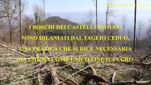 Presentazione presidio ed escursione a Rocca di Papa - 20 gen 2024