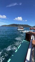 Delivery Driver Serious About His Job