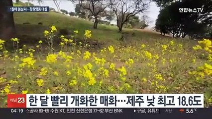 1월인데 한낮에 18도…강원 영동 주말까지 대설