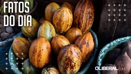 Cacau, protagonista da novela Renascer, tem vários benefícios para a saúde