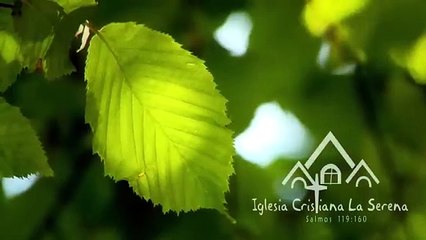 9.- BIBLIOLOGIA - LIBROS APOCRIFOS & DEUTEROCANÓNICOS