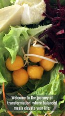 Elevate Your Plate_ A Guide to Balanced Meals for a Healthier Life