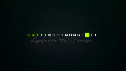 TERRAPIATTISTI E TERRA PIATTA