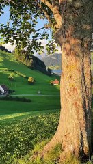 Peaceful alps landscap Switzerland photography