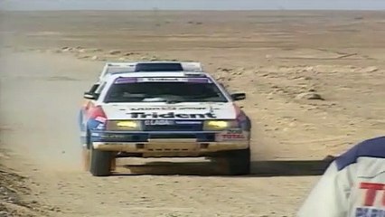 Laurent Lebourgeois & Jean-Marie Sounillac's Fatal Crash @ Dakar Rally 1991 (Aftermath)