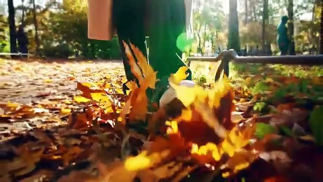 Woman Finds Abandoned Dog. When She Sees Whats Under It, She Turns Pale