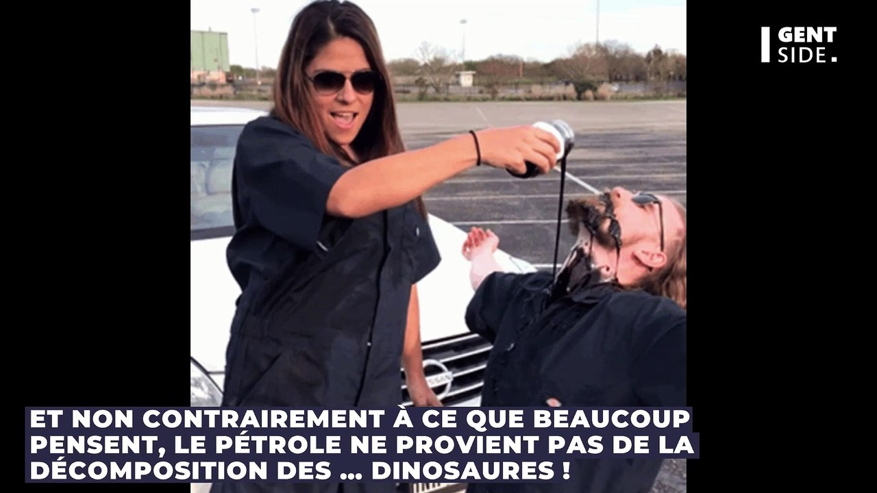 Comment se forme le pétrole ?
