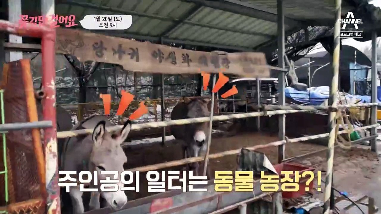 [예고] 칠면조와 대화를 시도하는 이창훈?! 농장을 자유롭게 누비는 꽃길 주인공의 사연은?