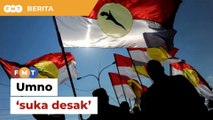 Umno ‘suka desak’, pemimpin PH Selangor tak puas hati