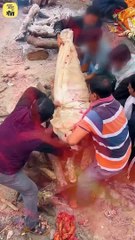 50 की उम्र पर बीवी से नहीं जमती || आचार्य प्रशांत