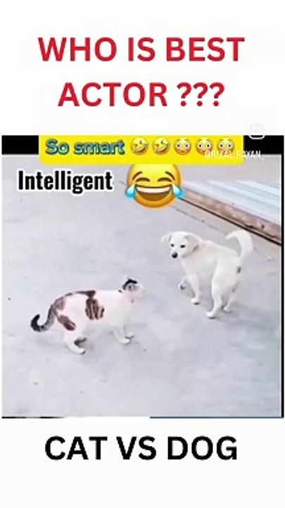 Who is best Actor  new viral video