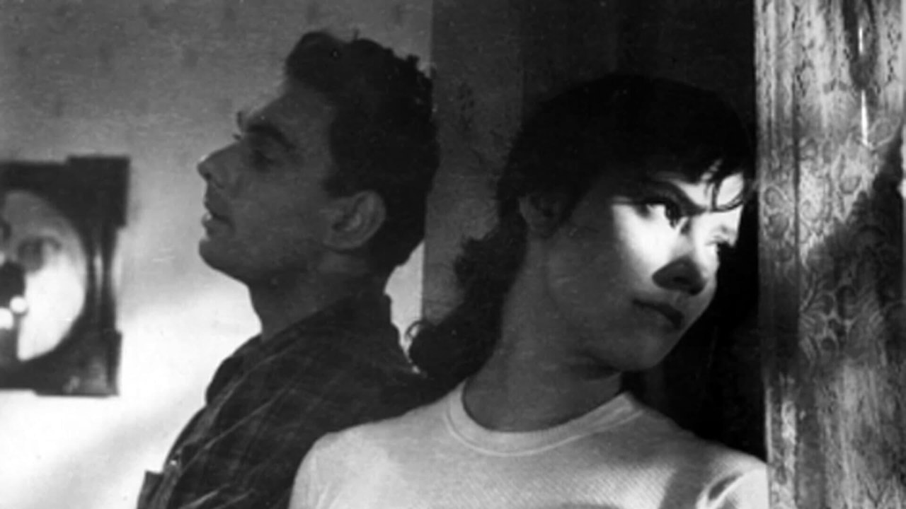 Quand passent les cigognes