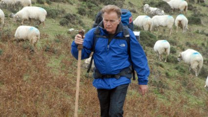 The Way : la route ensemble