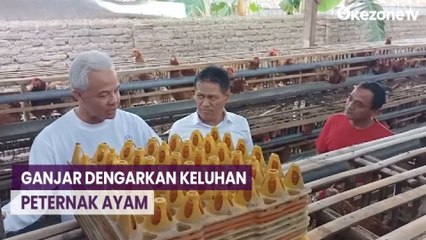 Ganjar Panen Telur Ayam di Desa Magetan Jatim, Dengarkan Keluhan Peternak