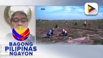 Panayam kay DA spokesperson Asec. Arnel De Mesa