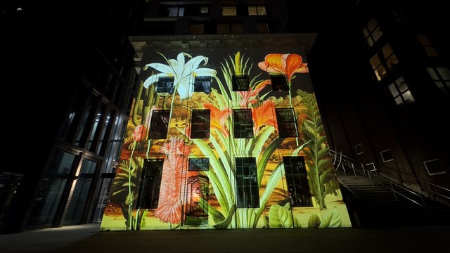 Hollanda'da düzenlenen göz alıcı ışık sanat festivali