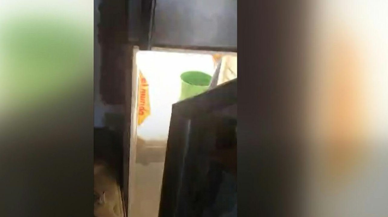 Cannabis-Plantage hinter Kühlschranktür versteckt