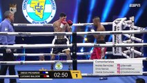 Luciano Francisco Baldor vs Diego Luis Pichardo Liriano (12-01-2024) Full Fight