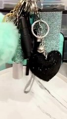 18 PCS Teal And Black New Design Keychain Set