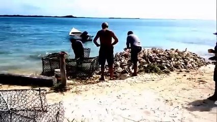 Da Trinidad a Colon ( Panama)