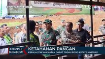 Kepala Staf Angkatan Darat Tinjau Food Estate Kostrad