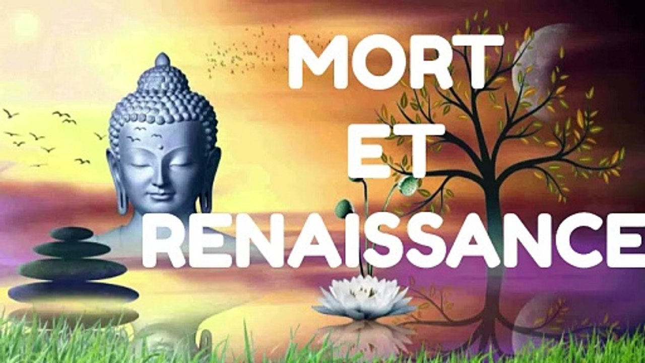 MORT et RENAISSANCE