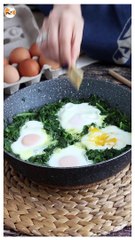 Creamed spinach with eggs