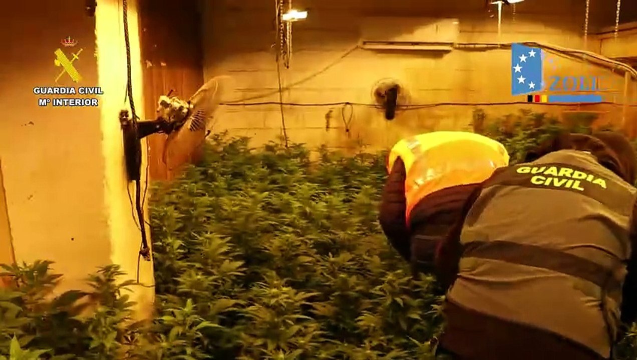 Cae un grupo internacional de narcotraficantes que enviaba droga de Córdoba a Alemania y Polonia