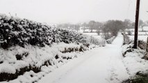 Snow creates winter wonderland scenes near Ballyclare, Co Antrim