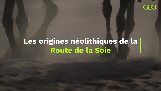 Les origines néolithiques de la Route de la Soie