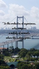 Compose Your Life's Symphony: Exploring Moments