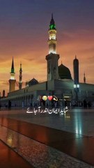 maulana tariq jameel bayan status#dailyislamicvideo