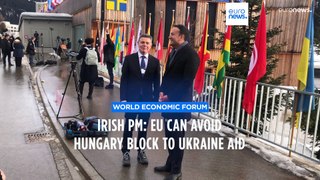 Latest news bulletin | January 19th – Midday