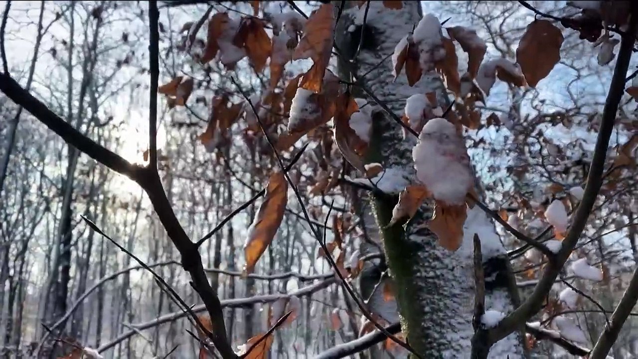 Mulheres ligadas a assassinato de brasileira em hotel de Paris são presas na França