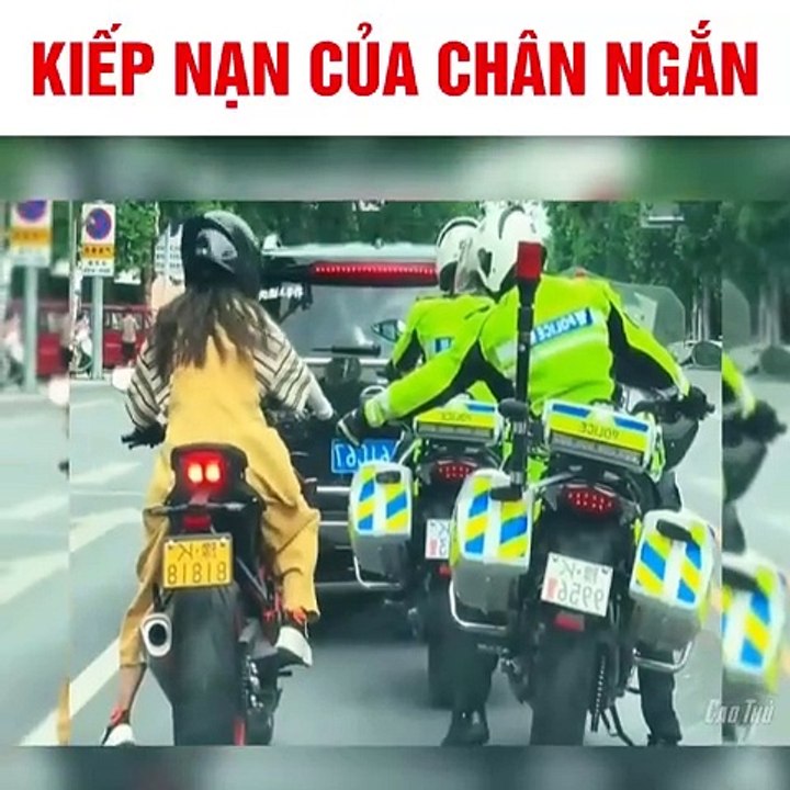 Chân ngắn