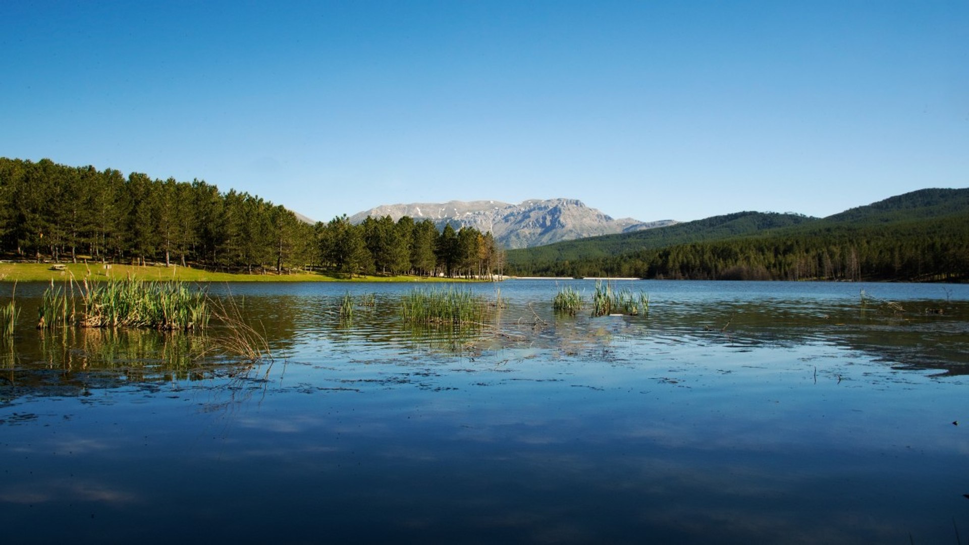 Fotosurat va videoda nipellar korinadi.