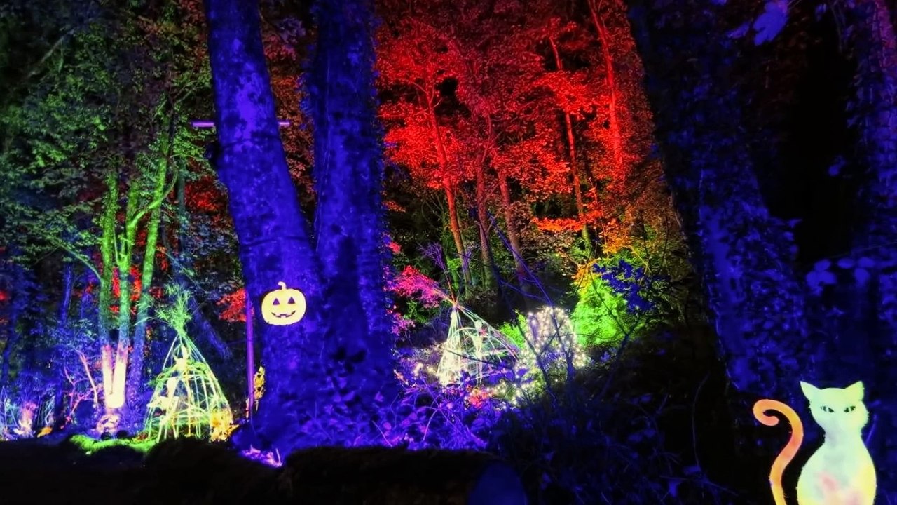 3 HISTORIAS REALES QUE TE MANTENDRÁN DESPIERTO ESTA NOCHE