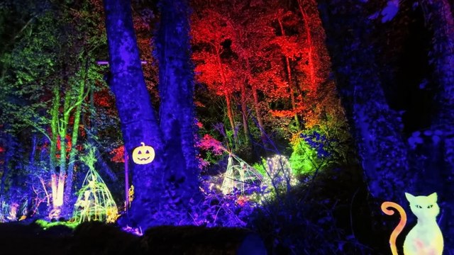 3 HISTORIAS REALES QUE TE MANTENDRÁN DESPIERTO ESTA NOCHE