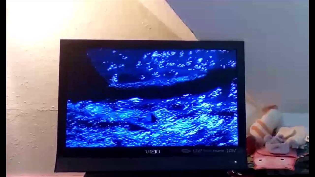Opening to Free Willy 1993 VHS