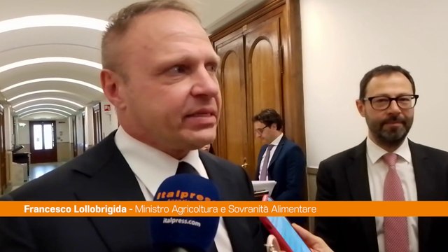 Lollobrigida Con fondo per agroalimentare sosteniamo le eccellenze