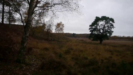 FOOTPATHS IN CRISIS Sandringham Part 2 Episode 2