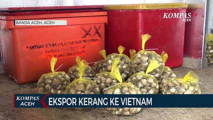 Warga Aceh Besar Ekspor Kerang ke Vietnam