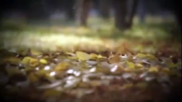 Dossiers Mystères S02EP02 - Conversation avec un fantôme