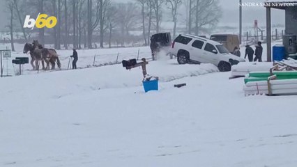 Tennessee Driver Saved From Ditch by Amish Horsepower